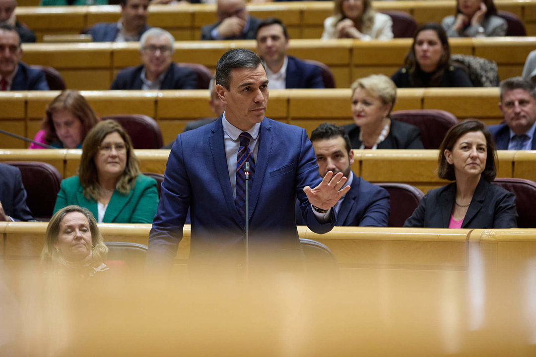 Cargar máis
El presidente del Gobierno, Pedro Sánchez, interviene durante una sesión de control al Gobierno en el Senado, a 21 de diciembre de 2022, en Madrid (España).