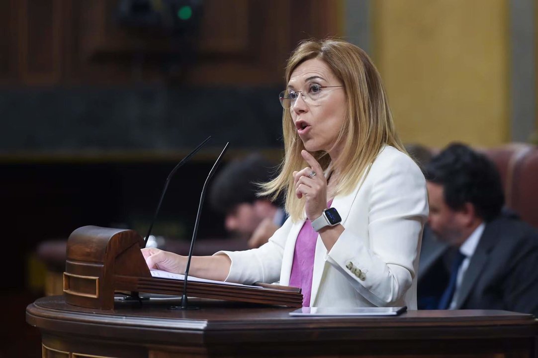 La vicesecretaria de Igualdad, Conciliación y Política Social del PP, Ana Isabel Alós, durante una sesión plenaria, en el Congreso de los Diputados