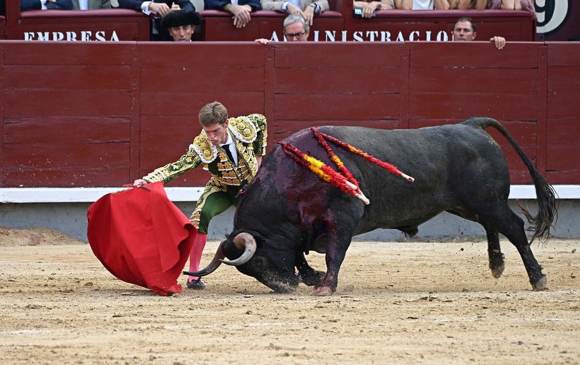 Una corrida de toros. Fotografía: Francisco Guerra / Europa Press