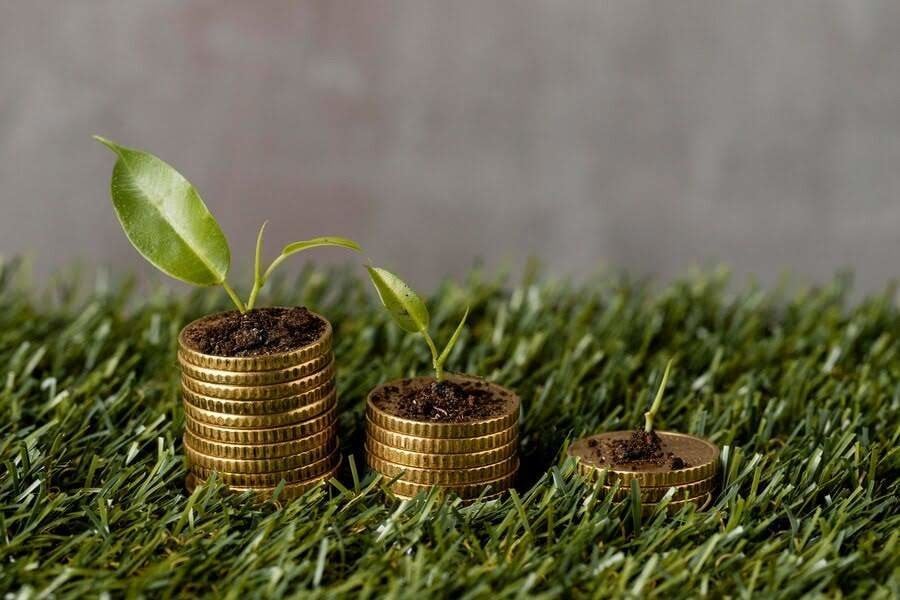 Inversiones sostenibles: por qué elegir las finanzas verdes frente a las tradicionales