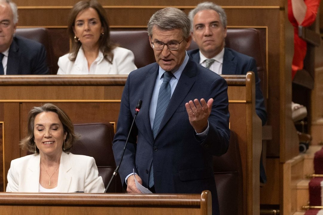 El presidente del PP, Alberto Núñez Feijóo, interviene durante una sesión de control, en el Congreso de los Diputados.