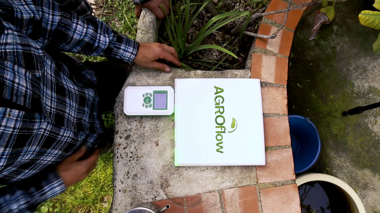 AgroFlow: la innovadora startup que propone la electrocultura para conseguir cultivos más productivos y sostenibles