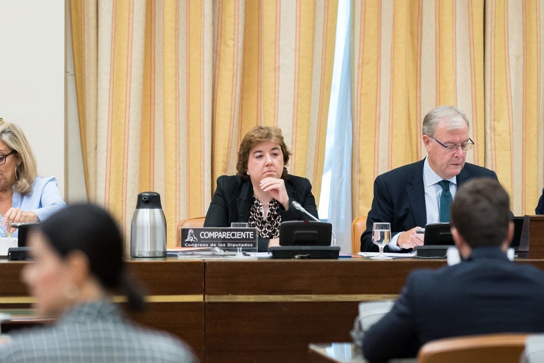 La presidenta interina del Consejo de Administración de la Corporación RTVE, Concepción Cascajosa.