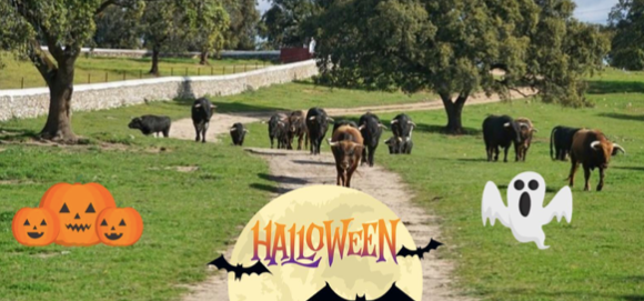 Halloween en la dehesa sevillana: Planazos para toda la familia con toros bravos y casas rurales.