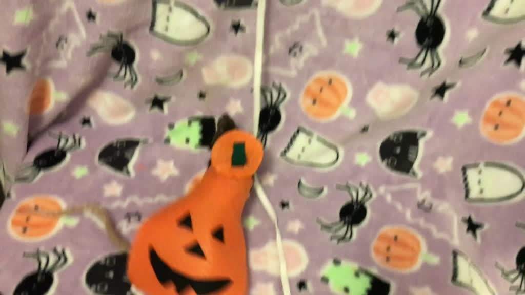 DESCONECTA.-Esta mujer disfraza a sus ratas domésticas por Halloween: sus disfraces se han hecho virales