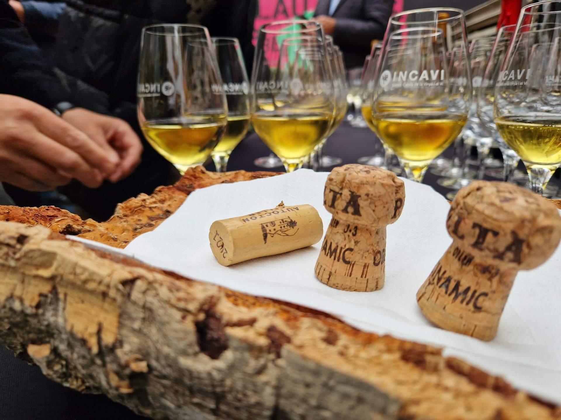 El 96% de los mejores vinos españoles de la Guía Peñín se tapan con corcho, según Icsuro