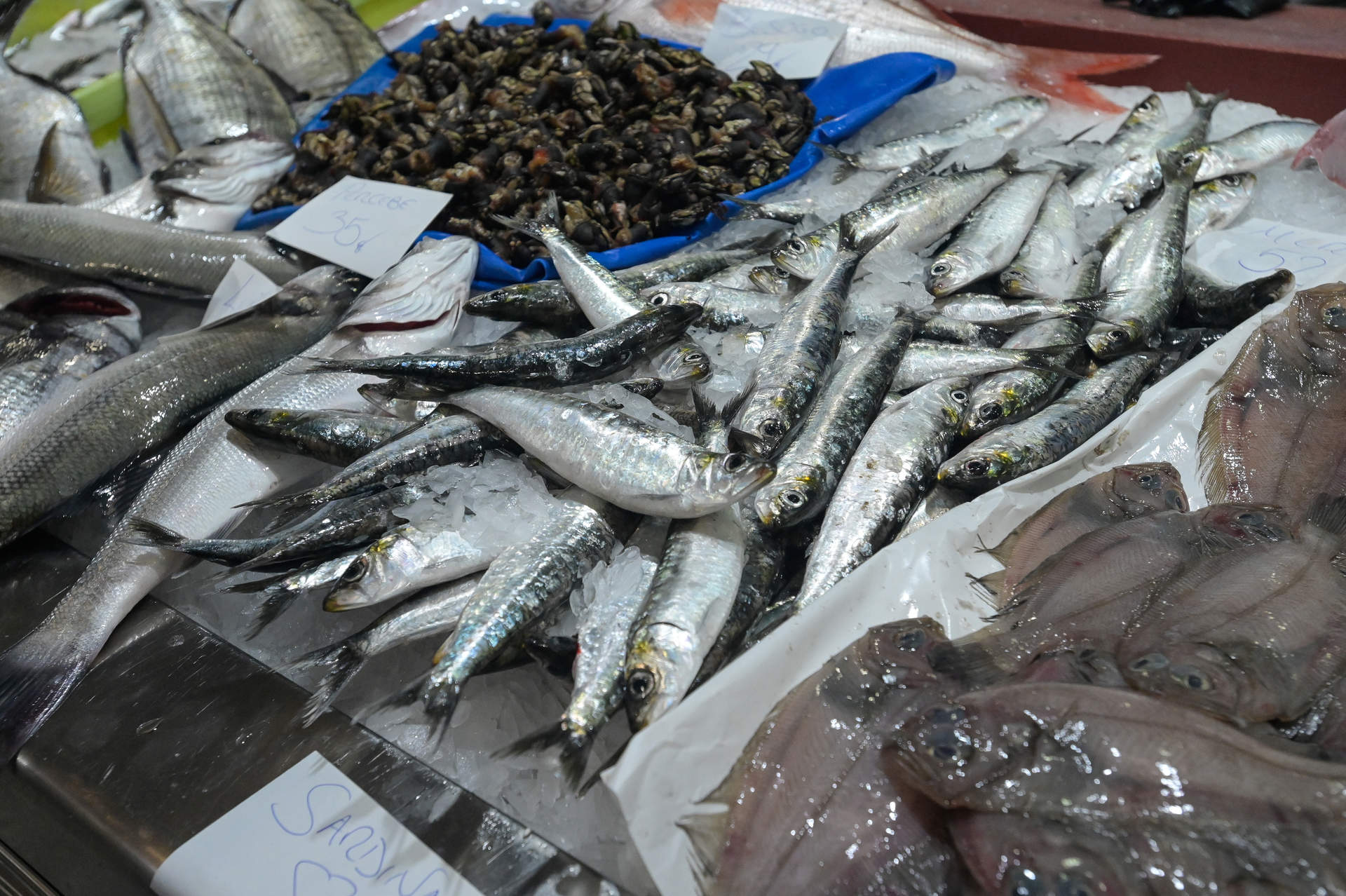 Galicia pide cuotas adicionales de aquí a finales de año de sardina, abadejo y alfonsino