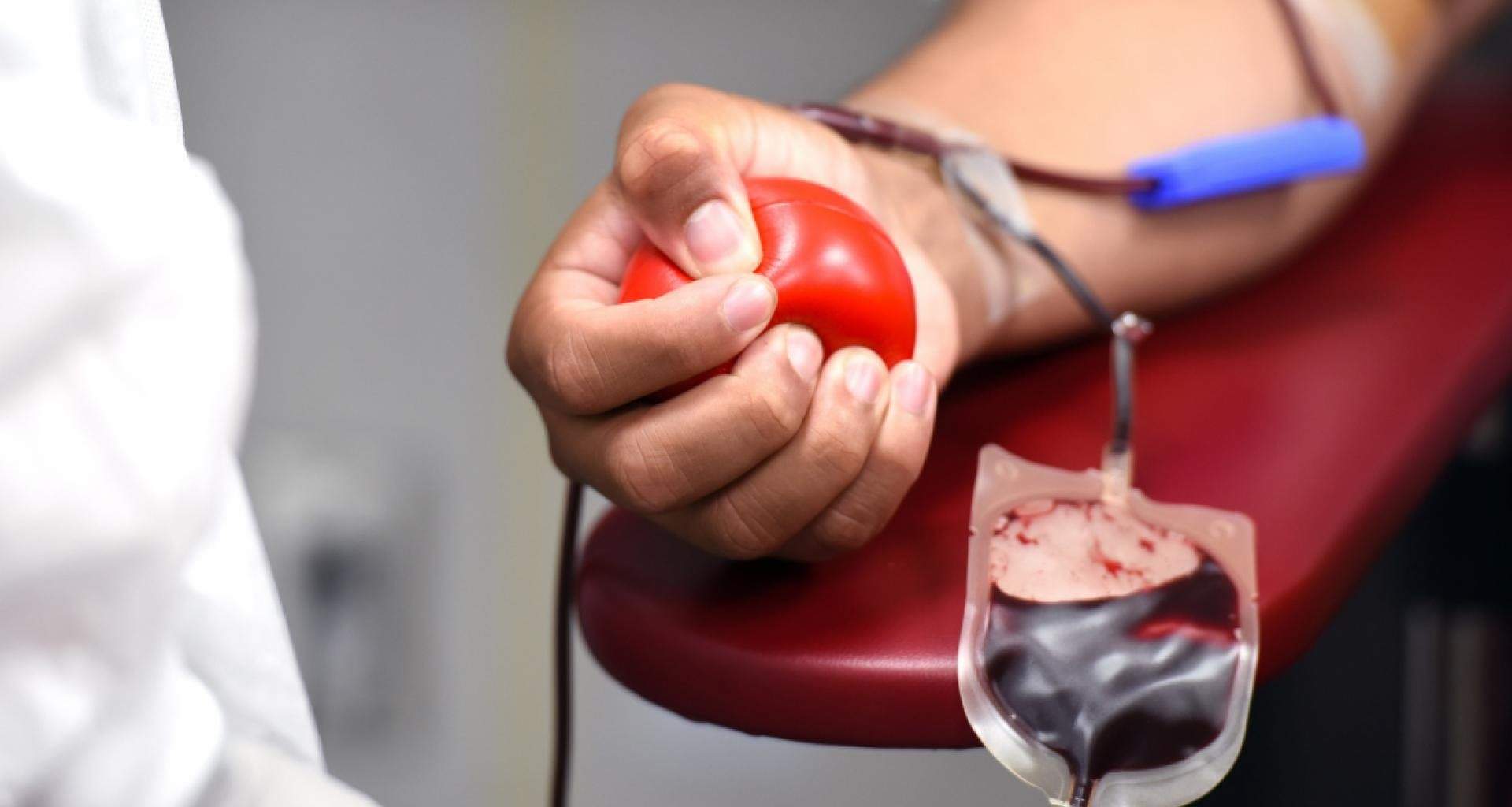 El TEDH estudiará mañana el caso de una testigo de Jehová que denunció a España por realizarle transfusiones de sangre
