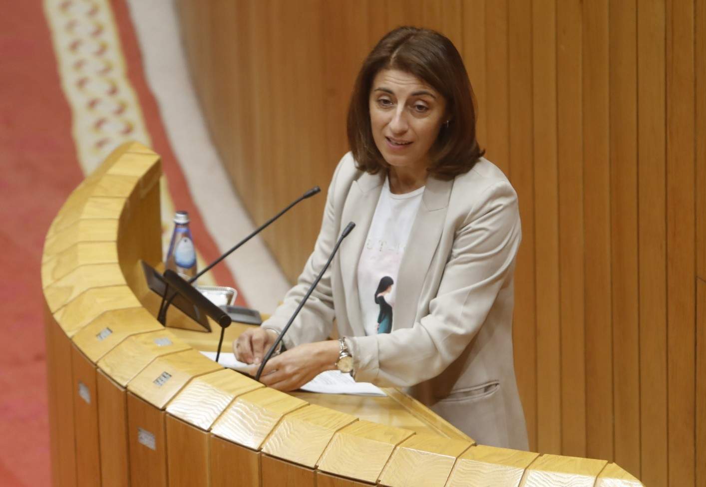 La conselleira de Medio Ambiente comparecerá en el Parlamento de Galicia a petición propia por los péllets