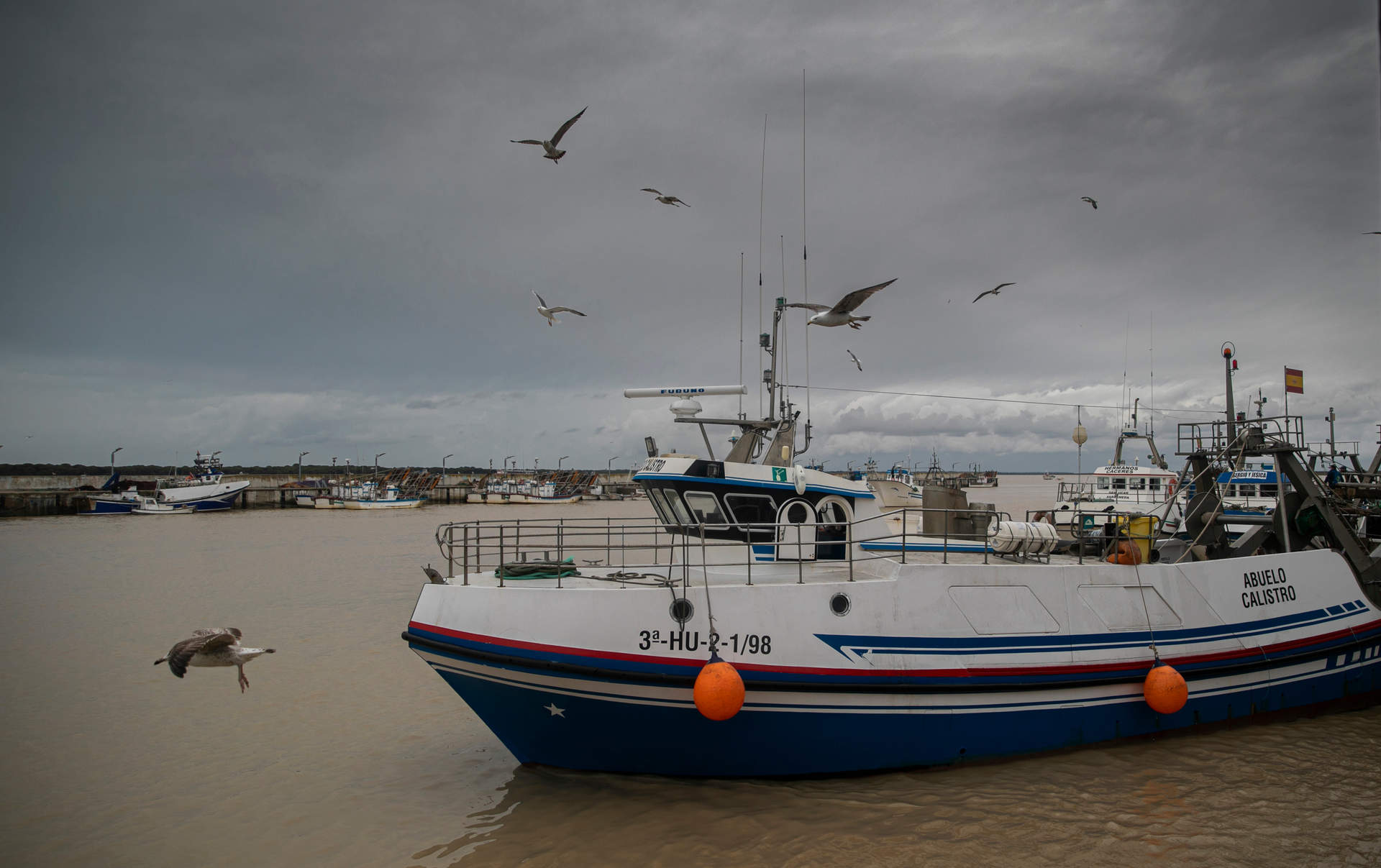 Andalucía defiende un acuerdo pesquero con Marruecos e insiste en pedir medidas 