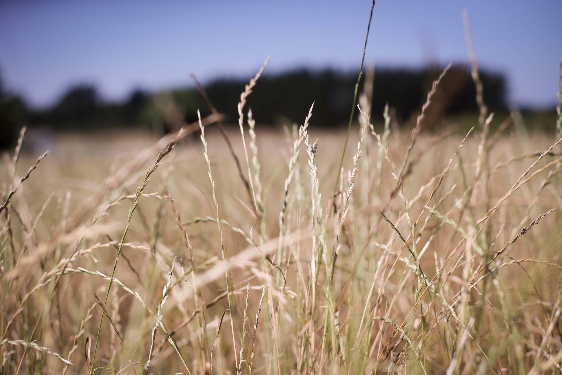 Nota de anulación: Gobierno aprueba convenio entre Enesa y Agroseguro para seguros agrarios combinados de 2024