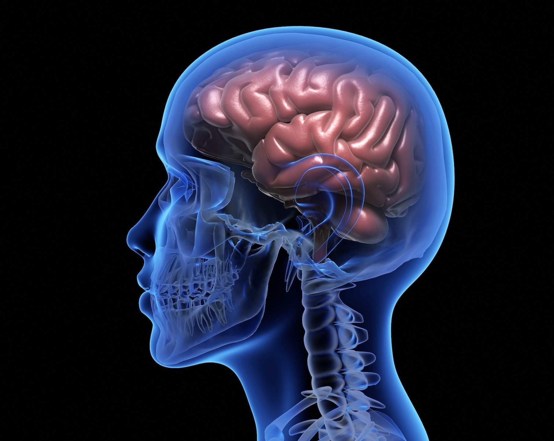 Guinda al Centro de Referencia Estatal de Atención al Daño Cerebral por su campaña por el día Mundial del cerebro