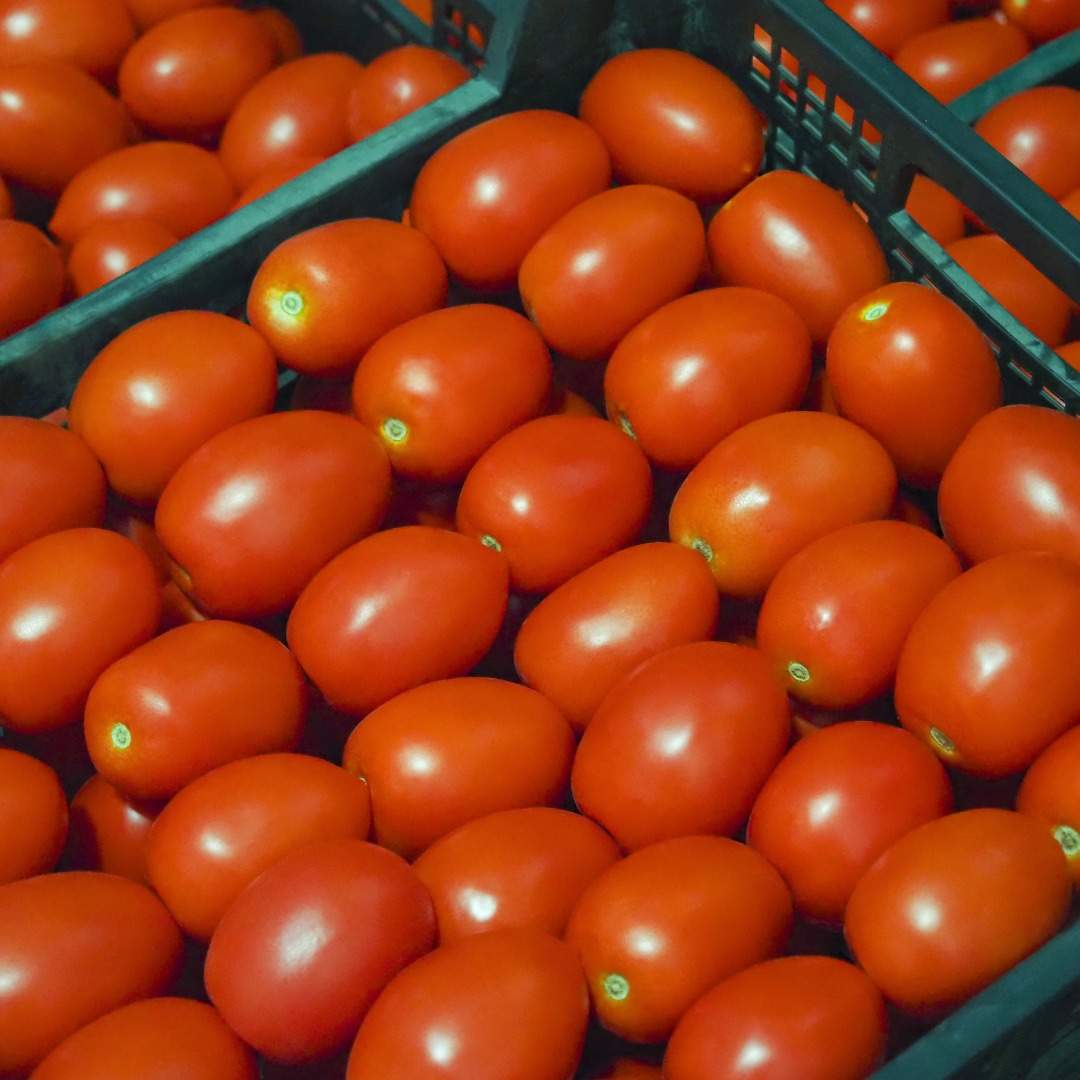 Estos son los tomates más vendidos de Mercadona