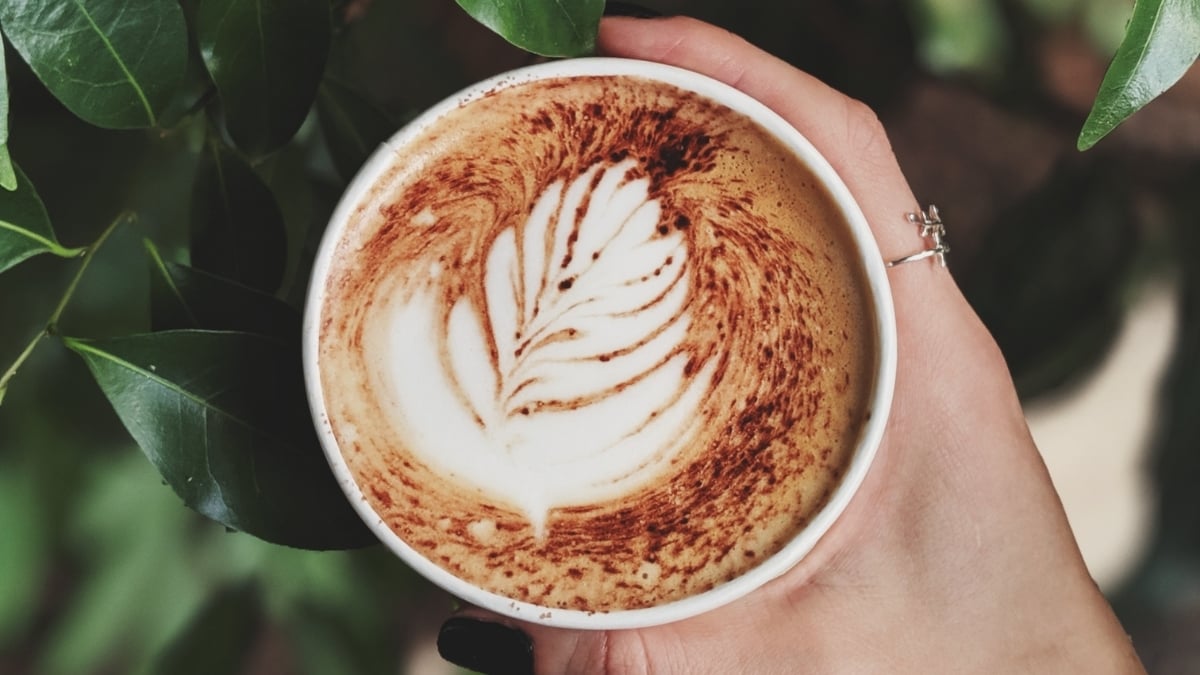 Guía de compra ¿Cómo elegir el mejor café descafeinado